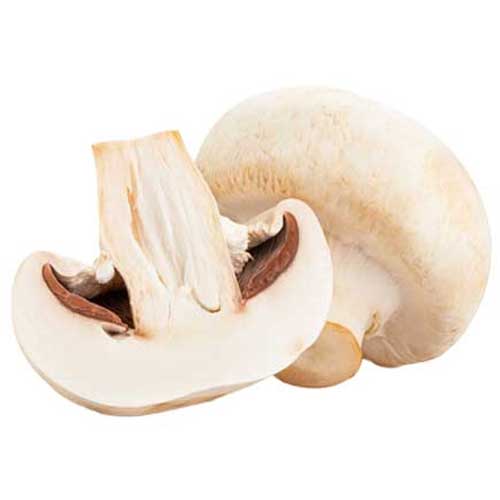 mushroom Ingredient